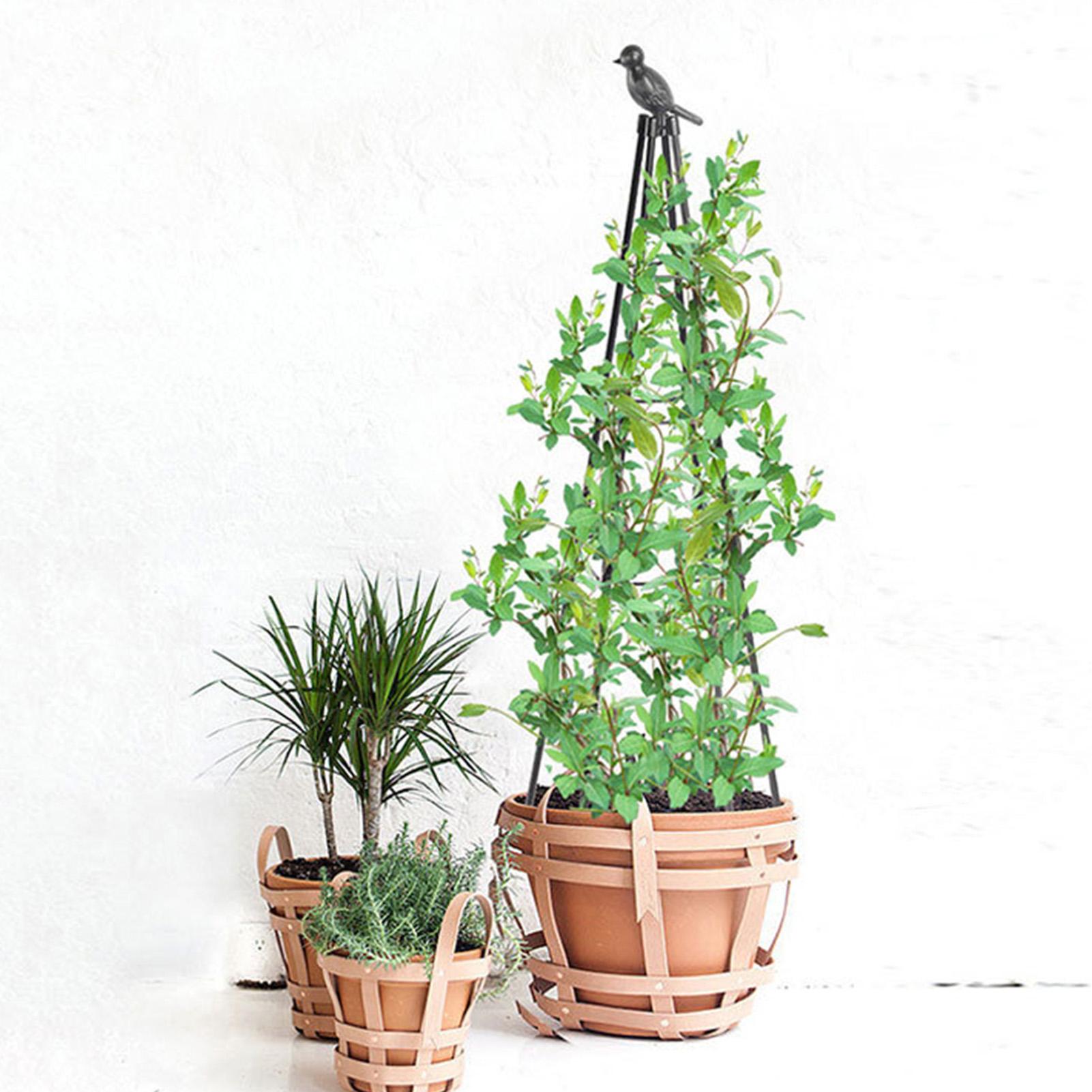 160cm Metal Garden Obelisk Tre - Model Kit Obelisk ulasan dan harga